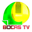 プログラムのアイコン：Bocas TV