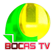 Bocas TV
