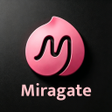 Programın simgesi: Miragate - Design Perfect…