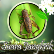 Icon of program: Suara Jangkrik Mp3 Full O…