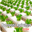 Programikonen: Hydroponic Agriculture Sy…