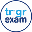 Programikonen: Trigrexam Online Teaching…