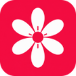Icon of program: Gallery - Album  Launcher