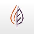 Programikonen: Embers Credit Union