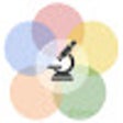 Programikonen: WebRTC Development