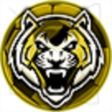 プログラムのアイコン：Correct Score App 100 Sur…