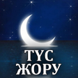 程序图标：Қазақша түс жор кітабы