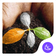 Ícone do programa: Green-APUS Launcher theme