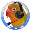 程序图标：Audio Loop (repeat,imitat…