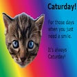 Ikon program: caturday