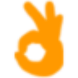 Ok Check Index icon