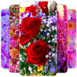 Icoon van programma: Flowers Wallpaper