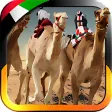UAE Camel Racing...