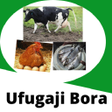 プログラムのアイコン：Ufugaji bora - Fuga Kitaa…