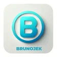 Иконка программы: BRUNOJEK