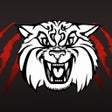 أيقونة البرنامج: Carnegie School District