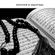 IslamicHub - Athan, Quran, Hadith, Compass icon
