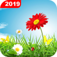 Programikonen: Green Grass Live Wallpape…