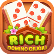 プログラムのアイコン：Rich Domino QIUQIU