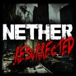 プログラムのアイコン：Nether