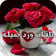程序图标：باقات ورد جميلة