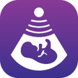 程序图标：Pregnancy Tracker