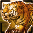 プログラムのアイコン：Tiger King Simulator