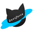 程序图标：Salesforce DevsForce