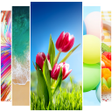 Icon of program: Wallpapers for  S22