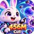 Programın simgesi: 456MCull