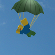 Icon of program: Airplane Skydive