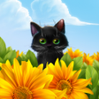 Ikona programu: Cute Kitten Live Wallpape…