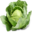 Icon of program: Cabbage-IFC