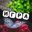 程序图标：Игра на логику