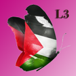 Programikonen: English for Palestine Lev…