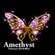 ไอคอนของโปรแกรม: Amethyst - February Birth…