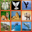 プログラムのアイコン：Animal Sounds Effects