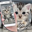 Иконка программы: Cute Cat Launcher Theme