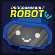 Programmable Robot