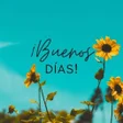 程序图标：Saludos de buenos días