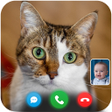 Ikona programu: Cat Fake Video Call prank…