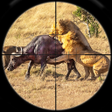 Ícone do programa: Animals Hunting Gun Games…