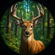 Icoon van programma: Animals Hunting Gun Games…