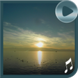 Programikonen: Anti Stress Sounds Ringto…