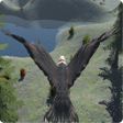 プログラムのアイコン：eagle run