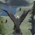 eagle run