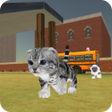 Ikon program: Cats Park