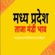 程序图标：MP MANDI BHAV  daily upda…