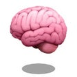 ไอคอนของโปรแกรม: Brain In Vat