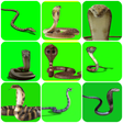 Ikona programu: VFX Snakes Effect - Snake…